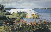 Winslow Homer Flower Garden and Bungalow,Bermuda (mk44) oil painting on canvas